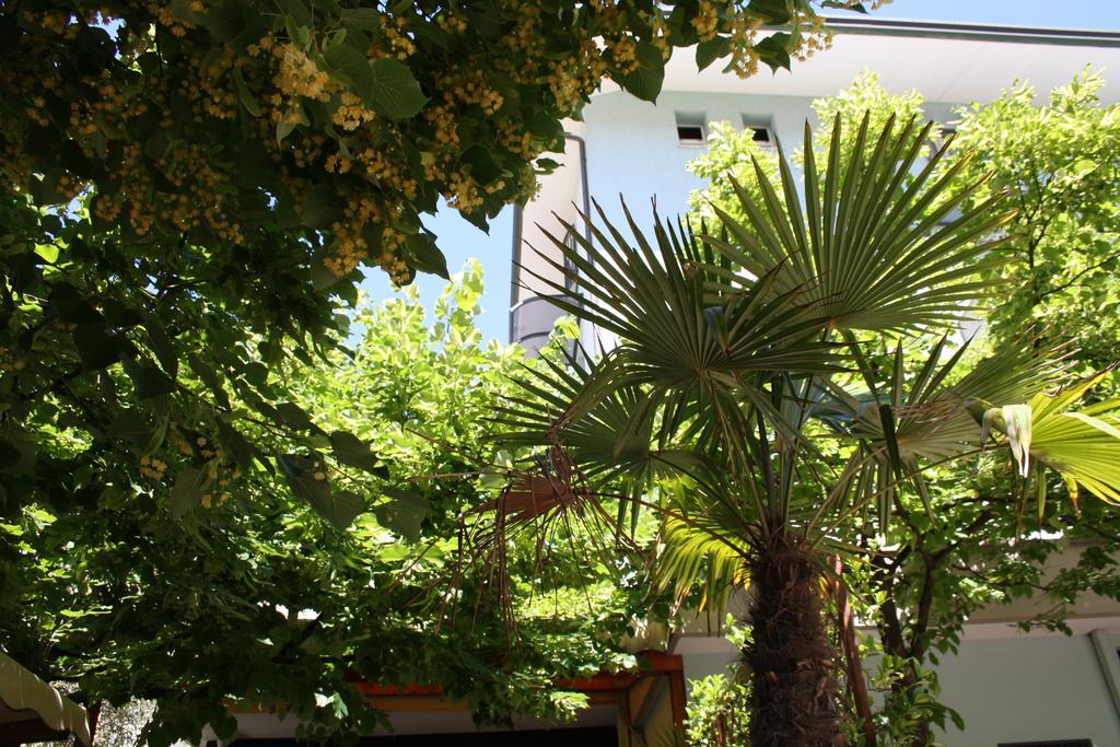 Hotel Villa Dei Gerani Rimini Buitenkant foto